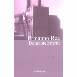 Flammarion Démantèlement, Littérature, Français, Livre broché, 432 pages