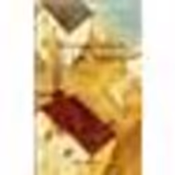 Flammarion Les Voisins, Littérature, Français, Livre broché, 360 pages