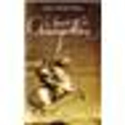 Flammarion Le Secret de Champollion livre Roman Français