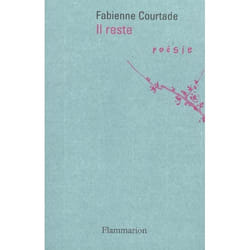 Flammarion Il reste livre poésie Français