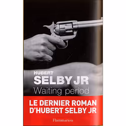 Flammarion Waiting period, Littérature, Français, Livre broché, 252 pages