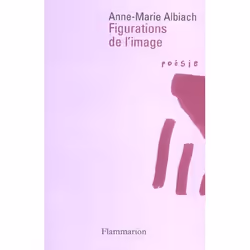 Flammarion Figurations de l’image, poésie, Français, Livre broché, 120 pages