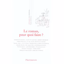 Flammarion L’Atelier du roman - Le roman, pour quoi faire ?, Littérature, Français, Livre broché, 208 pages