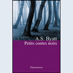 Flammarion Petits Contes noirs livre Littérature Français