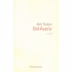 Flammarion Bel-Avenir, Littérature, Français, Livre broché, 276 pages