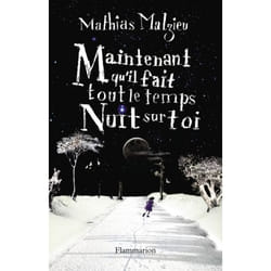 Flammarion Maintenant qu’il fait tout le temps nuit sur toi livre Littérature Français