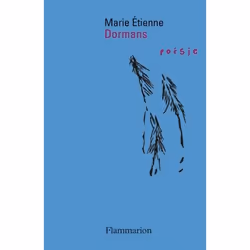 Flammarion Dormans, poésie, Français, Livre broché, 224 pages