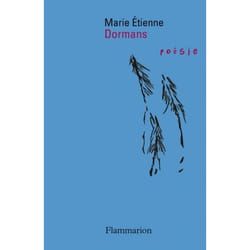 Flammarion Dormans livre poésie Français