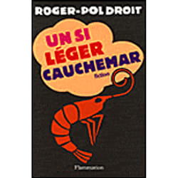 Flammarion Un si léger cauchemar livre Littérature Français