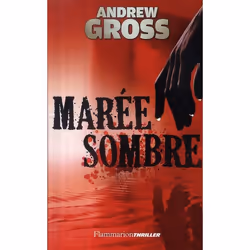 Flammarion Marée sombre, Littérature, Français, Livre broché, 372 pages