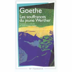 ISBN Les Souffrances Du Jeune Werther, Romance, Français, Livre broché
