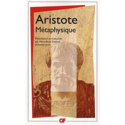 Métaphysique (Broché)