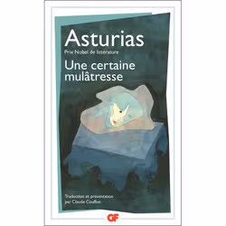 Flammarion Une certaine mulâtresse, Littérature, Français, Livre broché, 416 pages