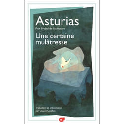 Flammarion Une certaine mulâtresse livre Littérature Français