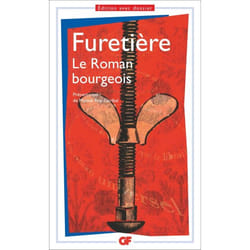 Flammarion Le Roman bourgeois livre Littérature Français