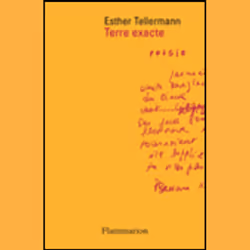Flammarion Terre exacte, poésie, Français, Livre broché, 280 pages