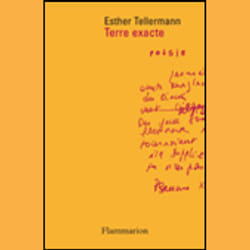 Flammarion Terre exacte livre poésie Français