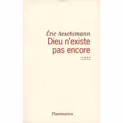 Flammarion Dieu n’existe pas encore, Littérature, Français, Livre broché, 304 pages