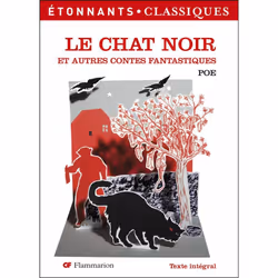 ISBN Le Chat Noir Et Autres Contes Fantastiques, Littérature, Français