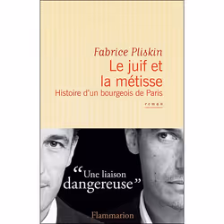 Flammarion Le Juif et la Métisse, Littérature, Français, Livre broché, 318 pages