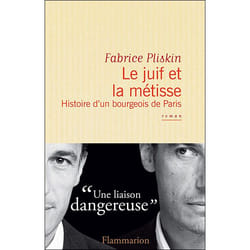 Flammarion Le Juif et la Métisse livre Littérature Français
