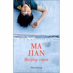 Flammarion Beijing coma, Littérature, Français, Livre broché, 640 pages