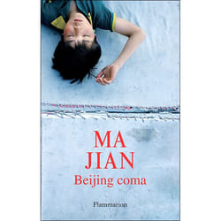 Flammarion Beijing coma livre Littérature Français
