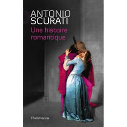 Flammarion Une histoire romantique livre Littérature Français