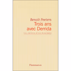 Flammarion Trois ans avec Derrida, Littérature, Français, Livre broché, 256 pages