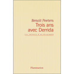 Flammarion Trois ans avec Derrida livre Littérature Français