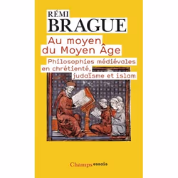 ISBN Au moyen du Moyen Âge, 434 pages