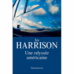Flammarion Une odyssée américaine, Littérature, Français, Livre broché, 320 pages