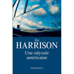 Flammarion Une odyssée américaine livre Littérature Français