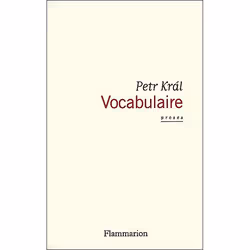 Flammarion Vocabulaire, Littérature, Français, Livre broché, 240 pages