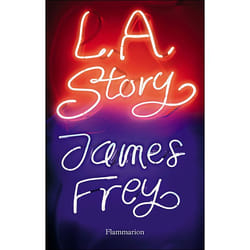 Flammarion L.A. Story livre Littérature Français