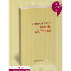 Flammarion Jour de souffrance livre Littérature Français Livre broché