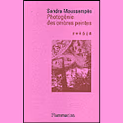 Flammarion Photogénie des ombres peintes, Littérature, Français, Livre broché, 152 pages