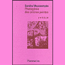 Flammarion Photogénie des ombres peintes livre Littérature Français