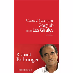 Flammarion Zorglub suivi de Les Girafes, Littérature, Français, Livre broché, 224 pages
