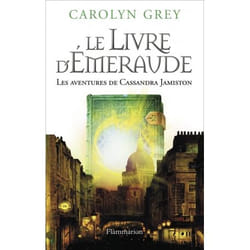 Flammarion Le d’émeraude livre Roman Français