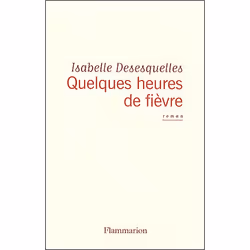Flammarion Quelques heures de fièvre, Littérature, Français, Livre broché, 160 pages