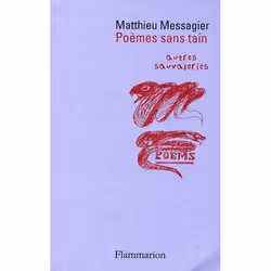 Flammarion Poèmes sans tain, poésie, Français, Livre broché, 360 pages