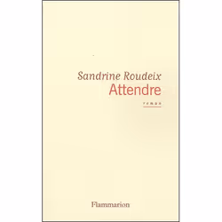 Flammarion Attendre, Littérature, Français, Livre broché, 132 pages