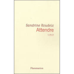 Flammarion Attendre livre Littérature Français