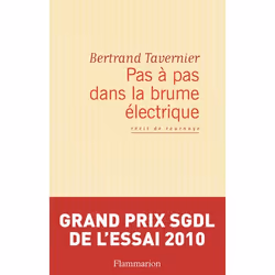 Flammarion Pas à pas dans la brume électrique, Littérature, Français, Livre broché, 272 pages