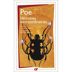 Flammarion Nouvelles Histoires extraordinaires livre Littérature Français