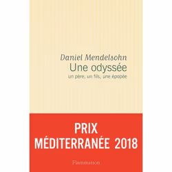 Flammarion Une Odyssée, Littérature, Français, Livre broché, 430 pages