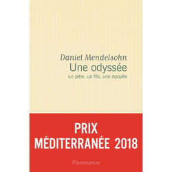 Flammarion Une Odyssée livre Littérature Français