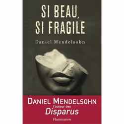 Flammarion Si beau, si fragile, Littérature, Français, Livre broché, 427 pages