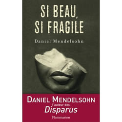 Flammarion Si beau, si fragile livre Littérature Français